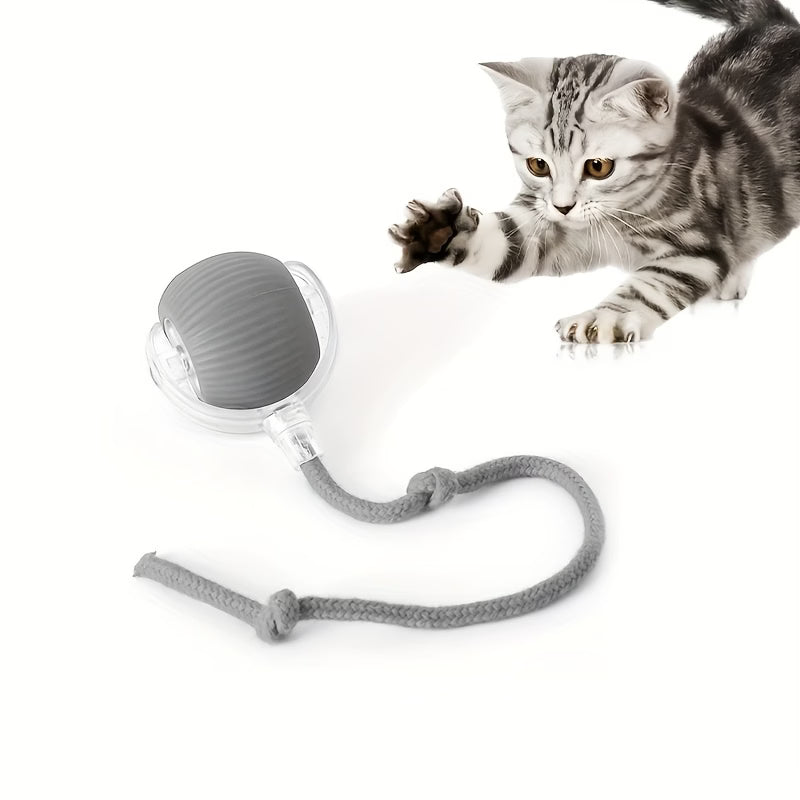 Fully Intelligent 360° Rolling Pet Ball USB Rechargeable with LED Light