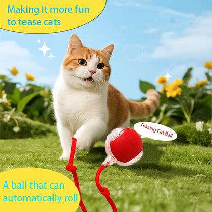 Fully Intelligent 360° Rolling Pet Ball USB Rechargeable with LED Light