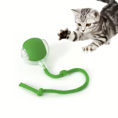 Fully Intelligent 360° Rolling Pet Ball USB Rechargeable with LED Light