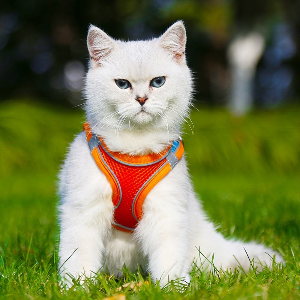 Reflective Pet Harness And Leash Set for Dogs And Cats