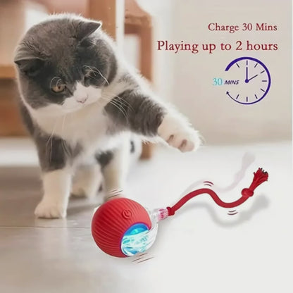 Fully Intelligent 360° Rolling Pet Ball USB Rechargeable with LED Light